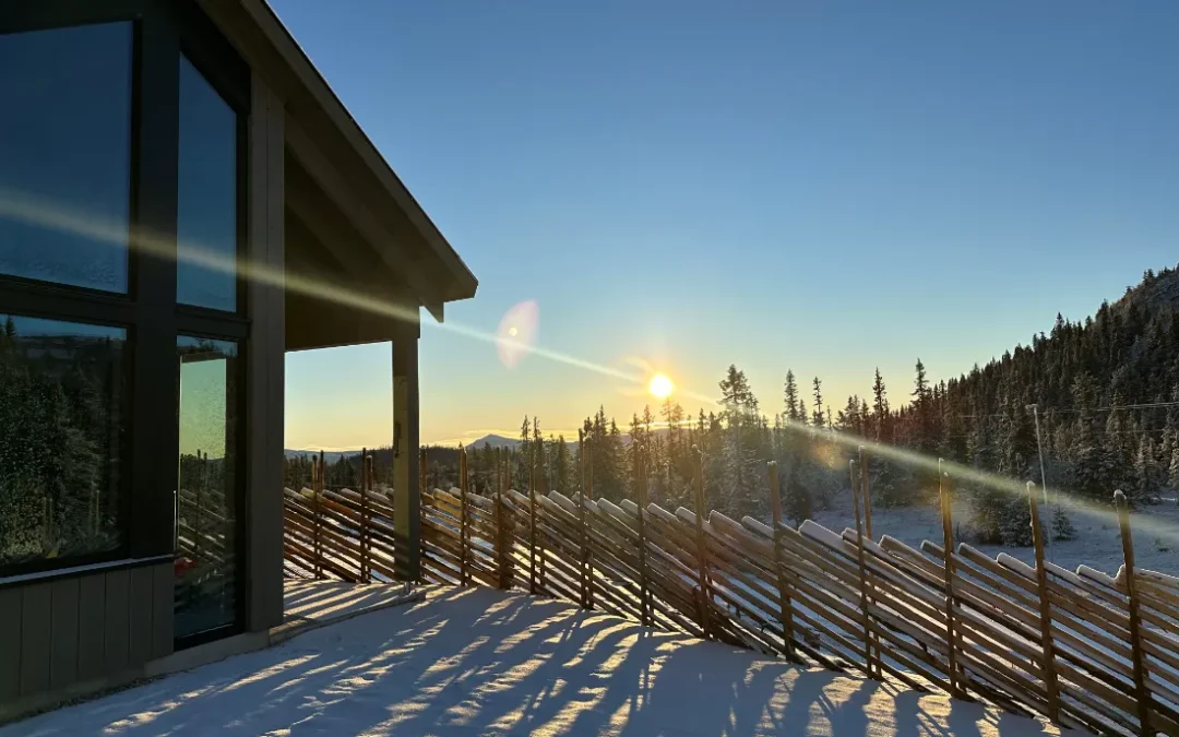 En førjulsgave med lukt av ferskt treverk